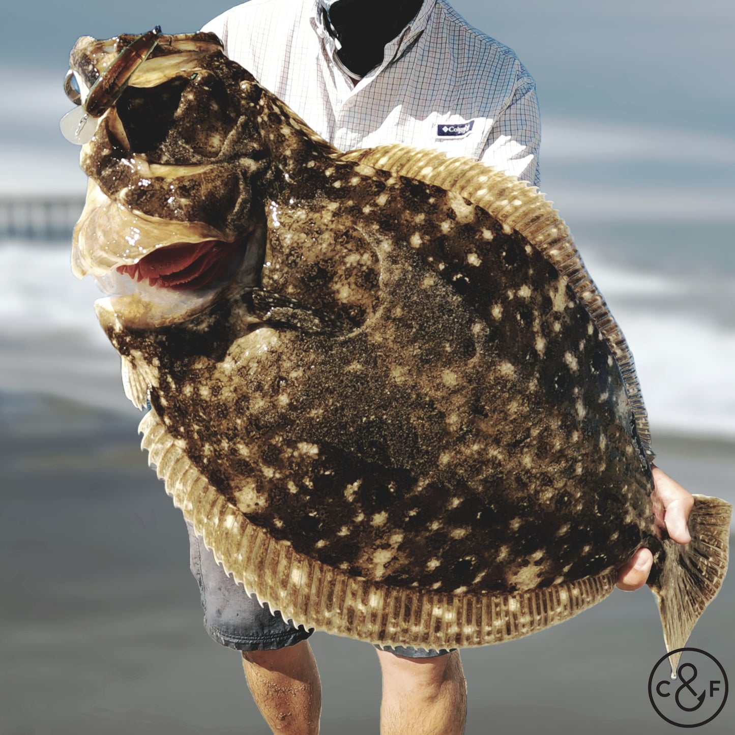 Jerkbait/Crankbaits for Flounder - Complete Virtual Lesson