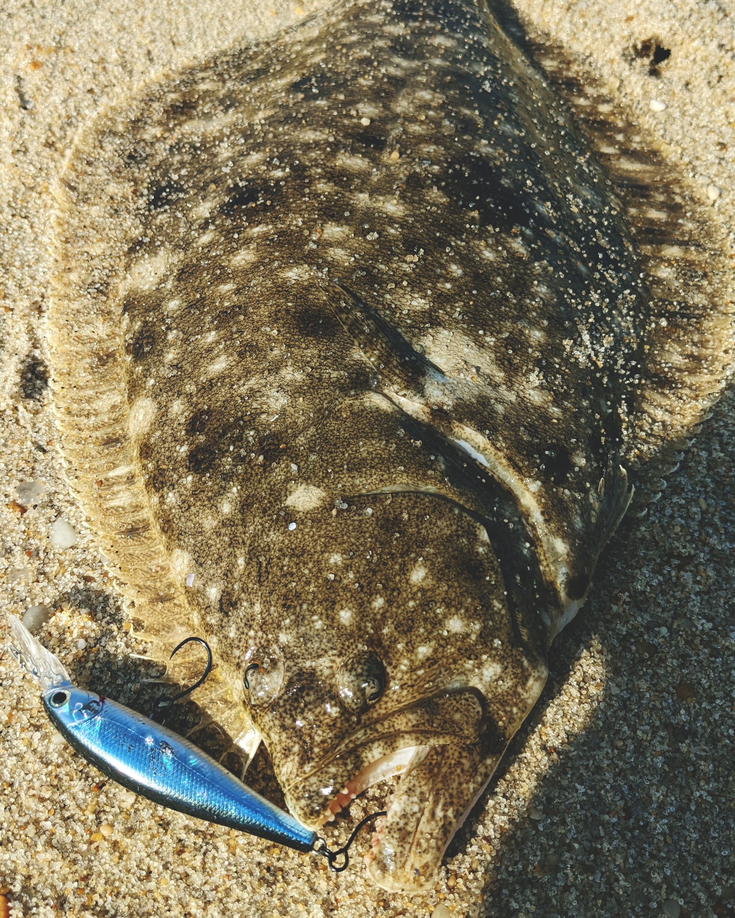 Jerkbait/Crankbaits for Flounder - Complete Virtual Lesson