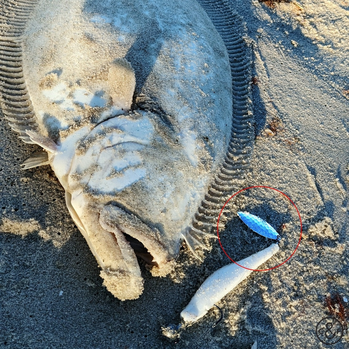 C&F OG Spinner Blade Attachment