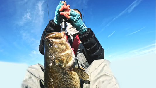 The Case for Bringing a Boga Grip