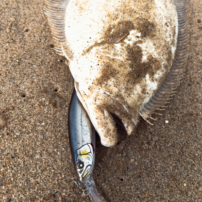 Nishine Lure Works Erie 152MD Suspending Jerkbait