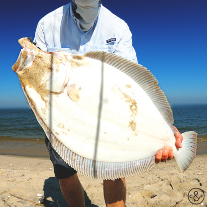 Fluke fishing jigging from shore lesson